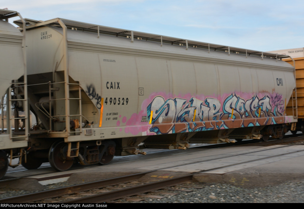 CAIX 490529